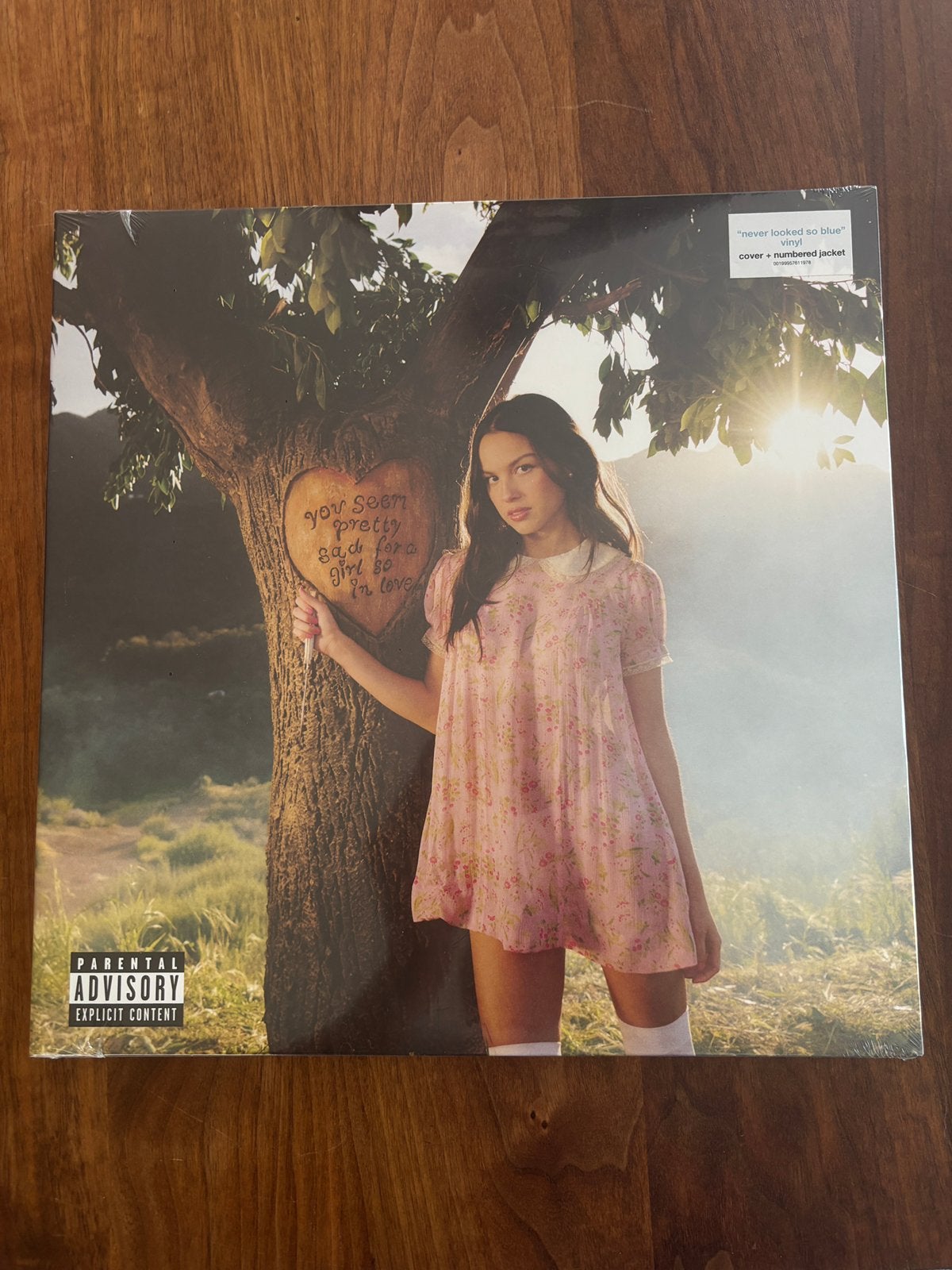Olivia rodriogo - never looked so blue, limited edition lp, LP, Pop, Ophalen of Verzenden, 12 inch