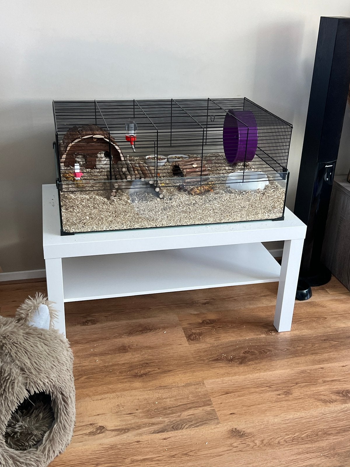 Hamsterkooi / knaagdierkooi, Dieren en Toebehoren, Knaagdieren en Konijnen | Hokken en Kooien, Kooi, Gebruikt, Muis, 75 tot 110 cm