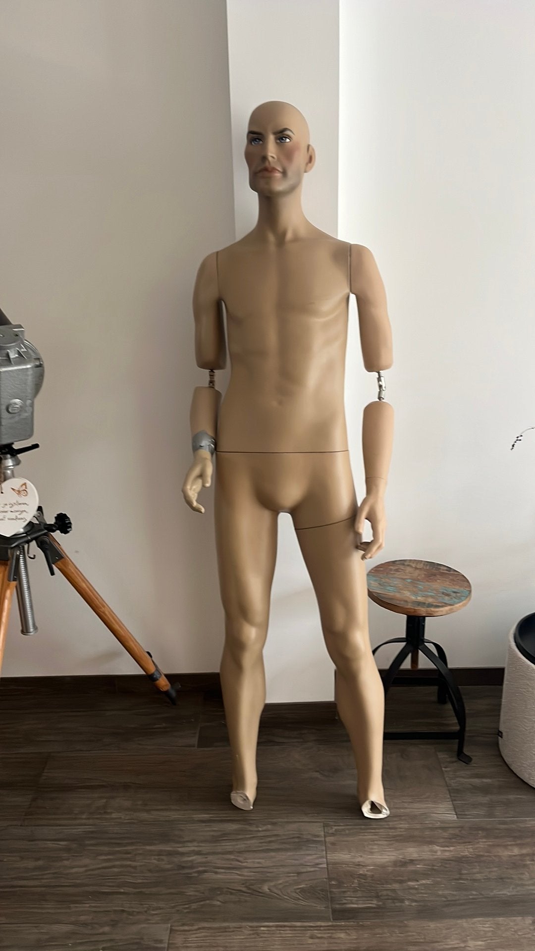 Mannequin, Ophalen, Overige gebieden, Overige typen