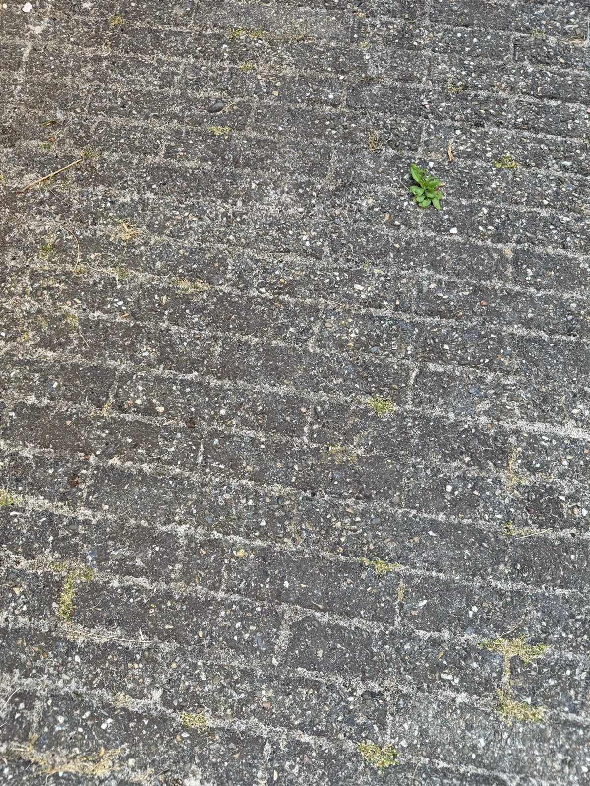 Gebruikte Klinkers - Geel/Grijs - ca. 12 m², Tuin en Terras, Tegels en Klinkers, Ophalen, Gebruikt, Klinkers, 10 m² of meer