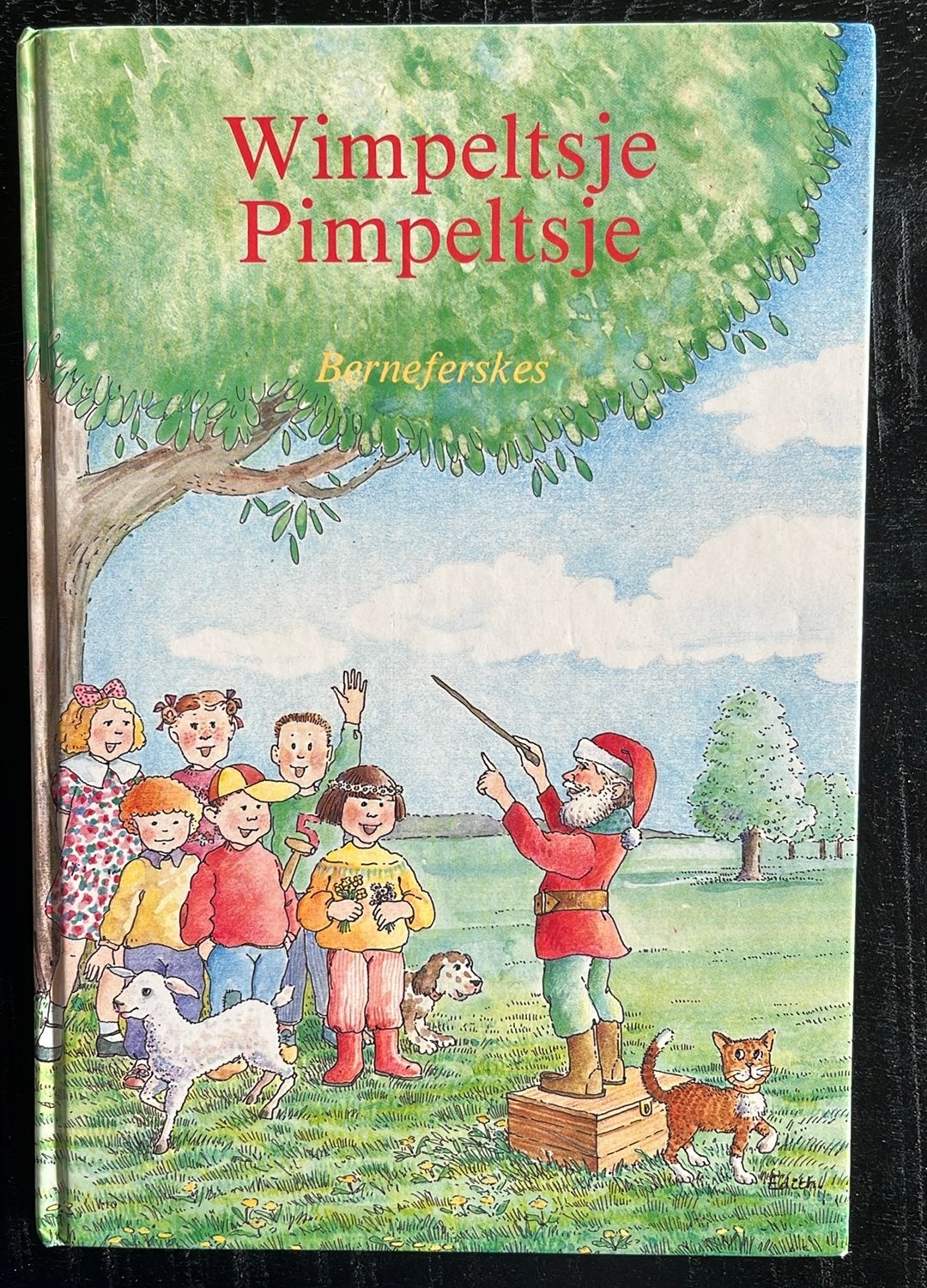Wimpeltsje Pimpeltsje Fries Frysk berneferskes, Ophalen of Verzenden, Zo goed als nieuw, Fictie algemeen