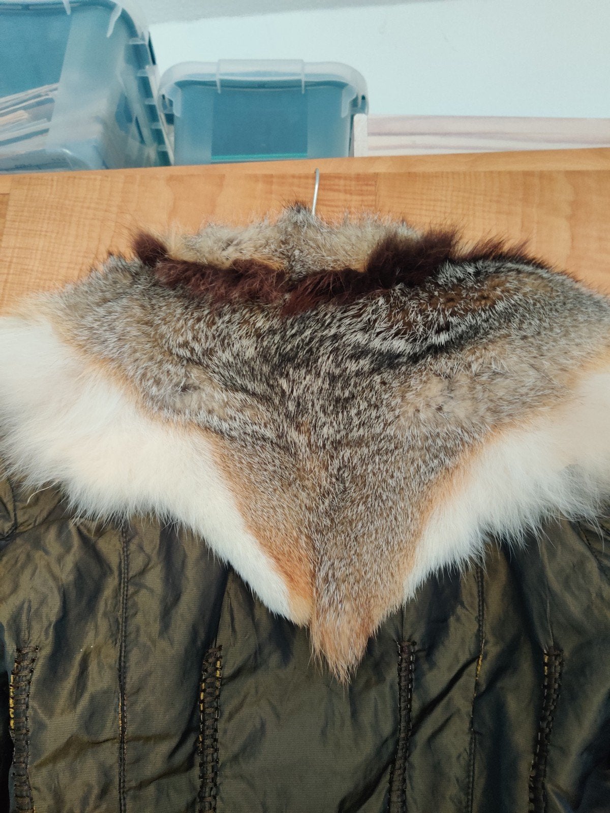 rizal jas met bijzondere kraag 40, Kleding | Dames, Ophalen of Verzenden, Zo goed als nieuw, Maat 38/40 (M)