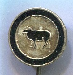 Zwarte Schapen zilverkleurig voetbal club speldje ( Z_060), Verzamelen, Ophalen of Verzenden, Zo goed als nieuw, Sport, Speldje of Pin