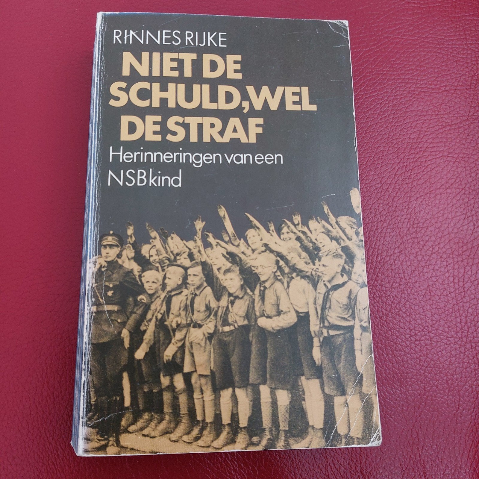 Niet de Schuld, Wel de Straf - Herinneringen NSB-kind, Boeken, Rinnes Rijke, Ophalen of Verzenden, Algemeen, Tweede Wereldoorlog