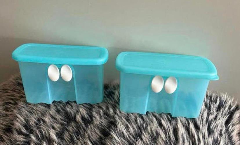 Tupperware opberg bakjes, 15x9x7,5 cm, Verzenden, Zo goed als nieuw, Bak of Kom
