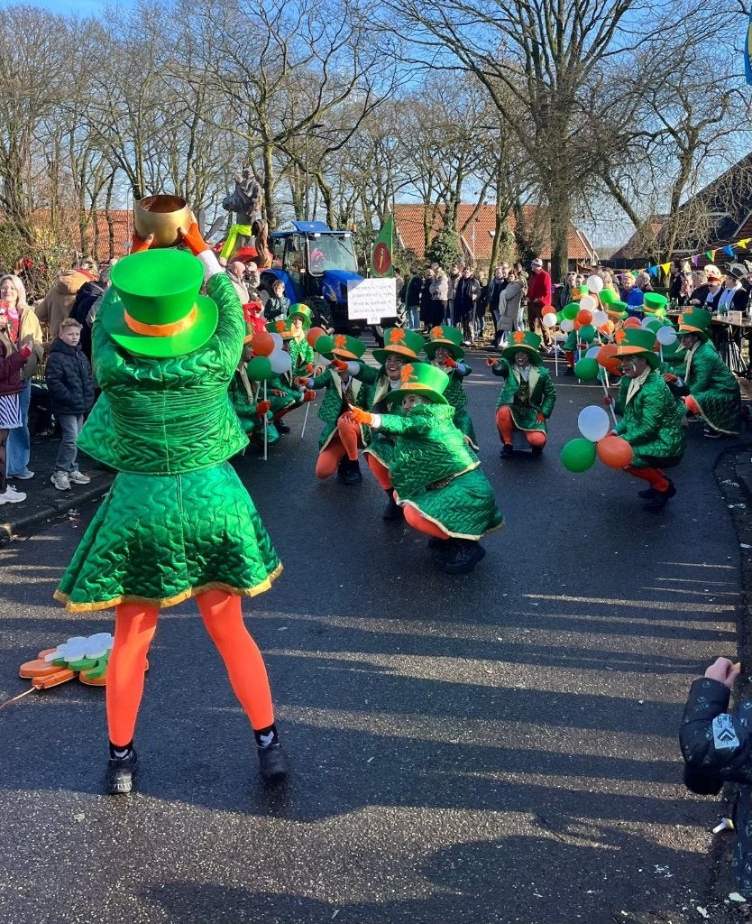 Prachtige kleding voor grote loopgroep carnaval, Kleding | Dames, Ophalen, Carnaval, Maat 46/48 (XL) of groter, Zo goed als nieuw
