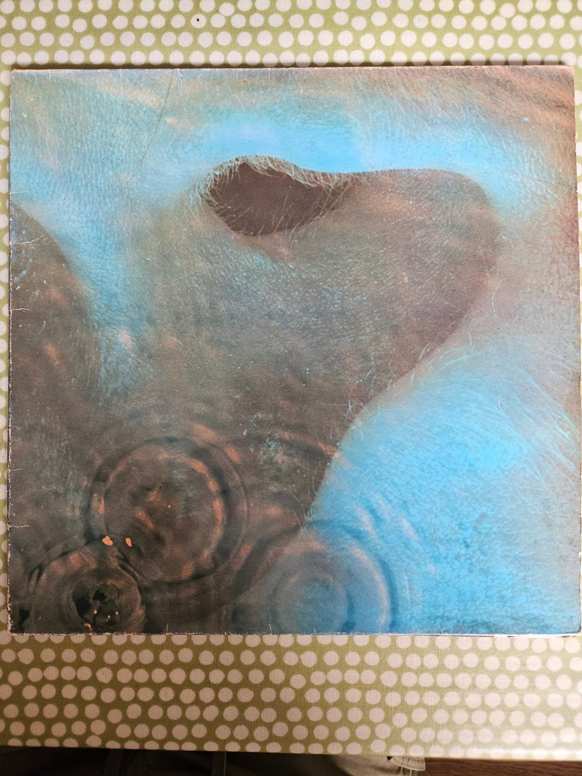 Pink Floyd - Meddle (LP), LP, Ophalen of Verzenden, 12 inch, Progressive Rock