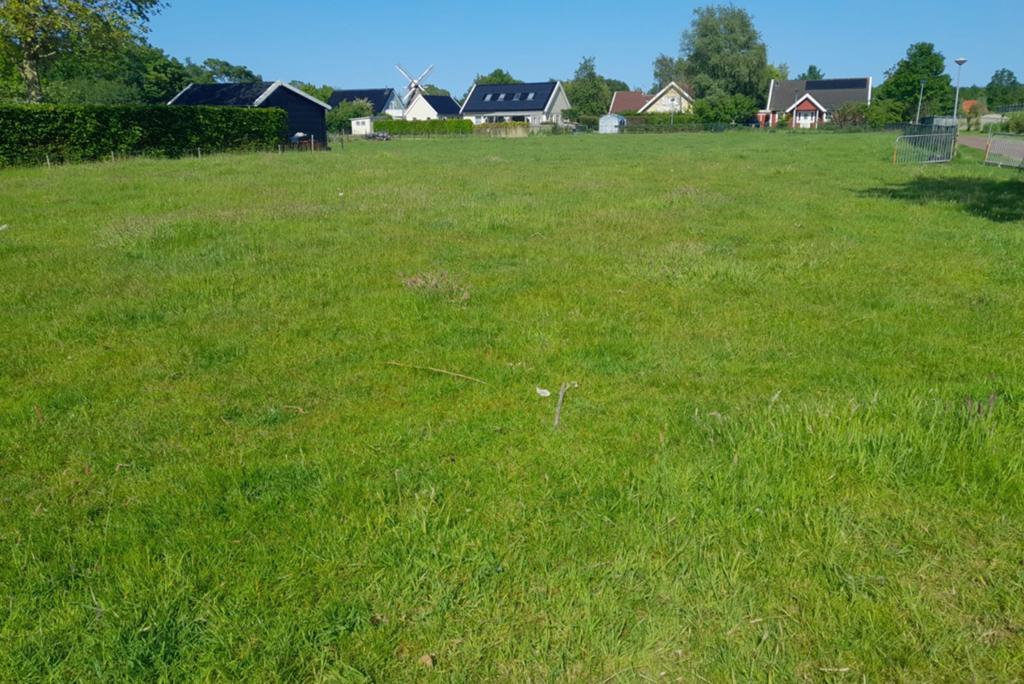 Te huur: paardenweide, Ophalen