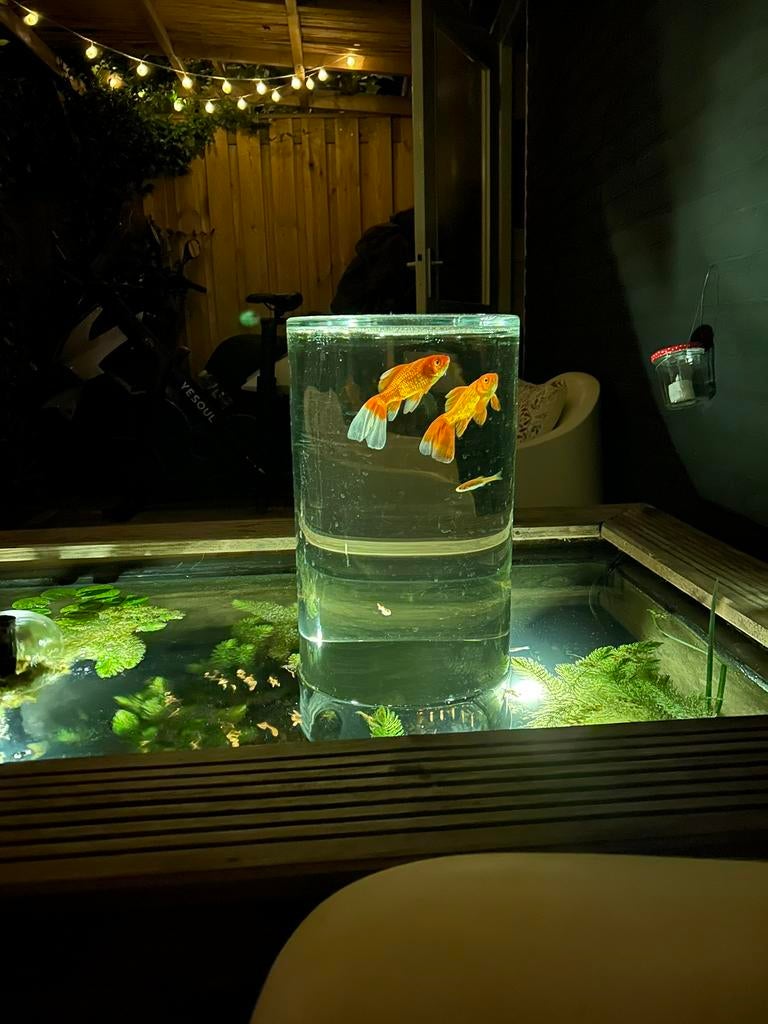 Ubbink Quadra C3 vijverbak 365 liter + houten ombouw izgs, Tuin en Terras, Vijvers, Ophalen, Gebruikt