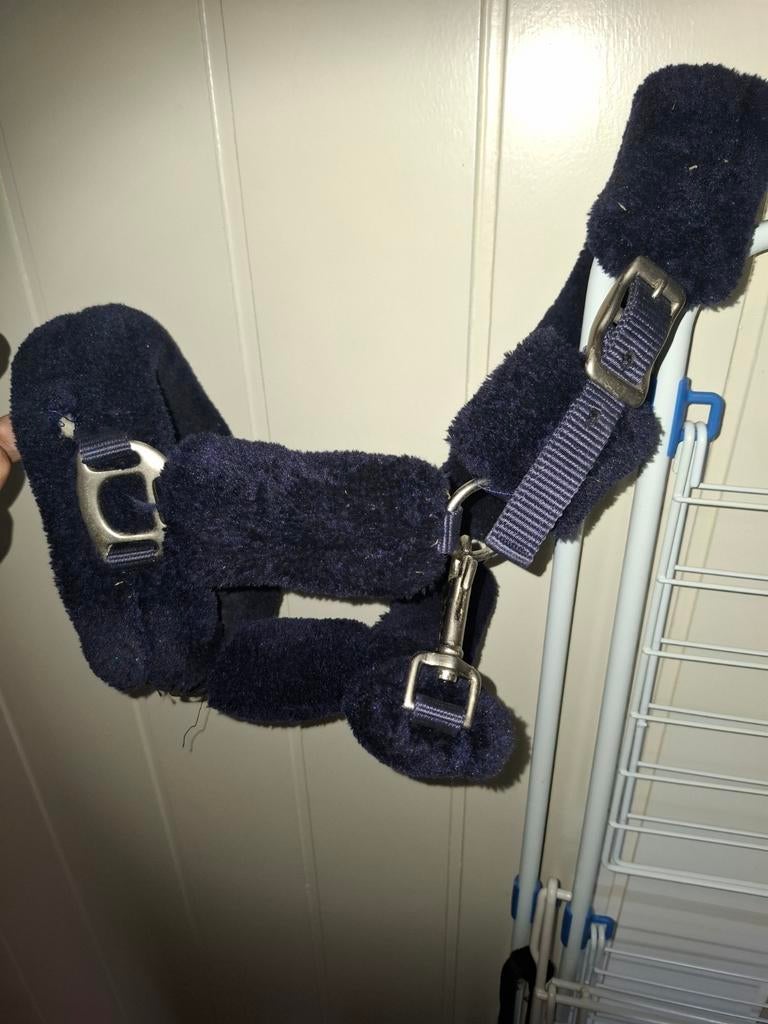 Donkerblauw bont halster pony/shetlander, Ophalen of Verzenden, Nieuw, Overige soorten