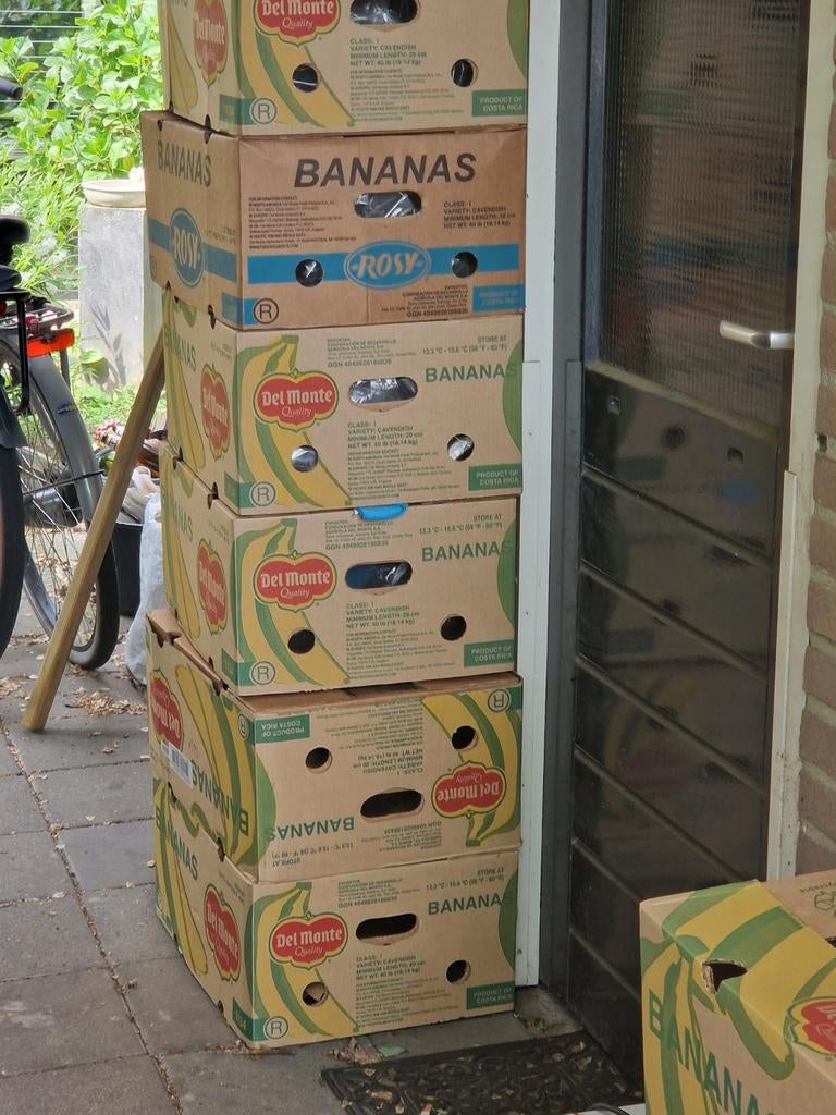 Bananendozen 20 st, Ophalen
