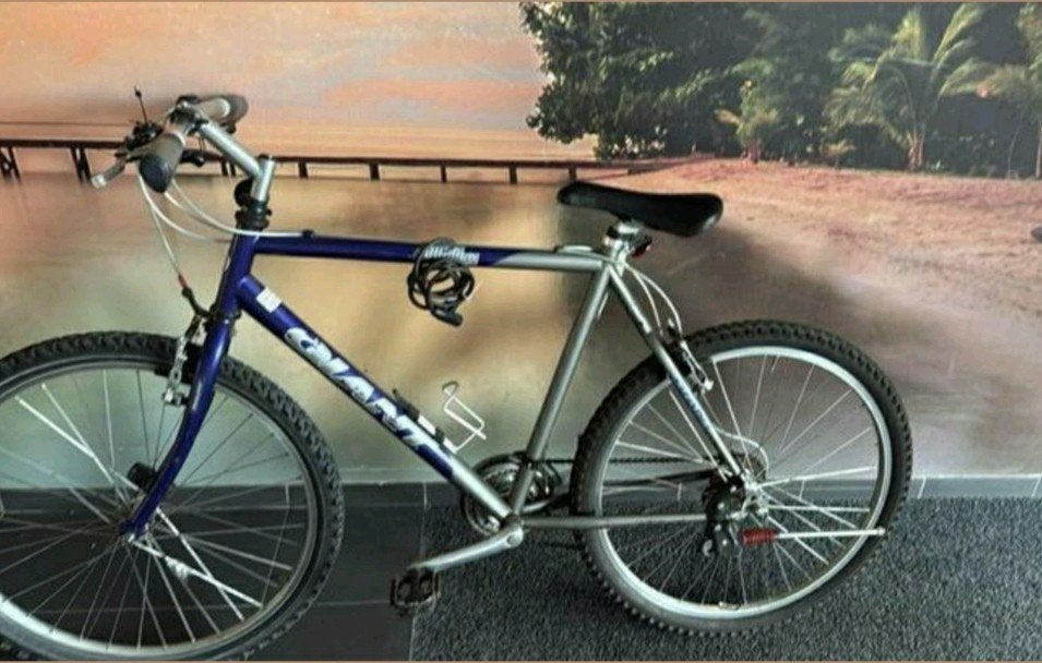 Giant mountainbike in goede staat 21 versnellingen, Ophalen, Gebruikt, Giant
