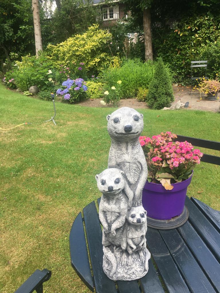 Leuke stokstaartjes familie tuinbeeld, Tuin en Terras, Tuinbeelden, Ophalen, Gebruikt, Beton, Dierenbeeld