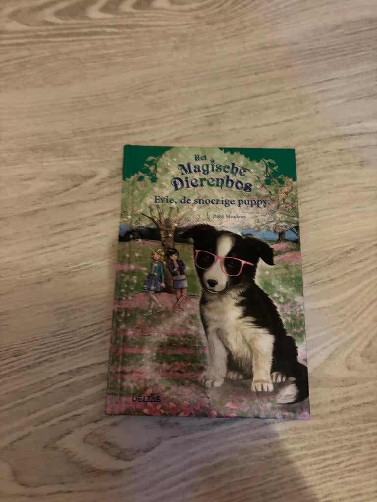 Het magische dierenbos| Evie, de snoezige puppy, Boeken, Ophalen, Zo goed als nieuw