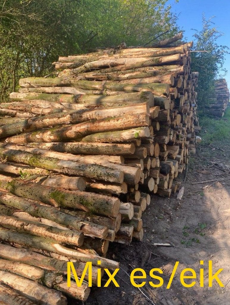 Brandhoutstammen  per volle vracht.€65,50 per stere, Tuin en Terras, Haardhout, 6 m³ of meer, Ophalen