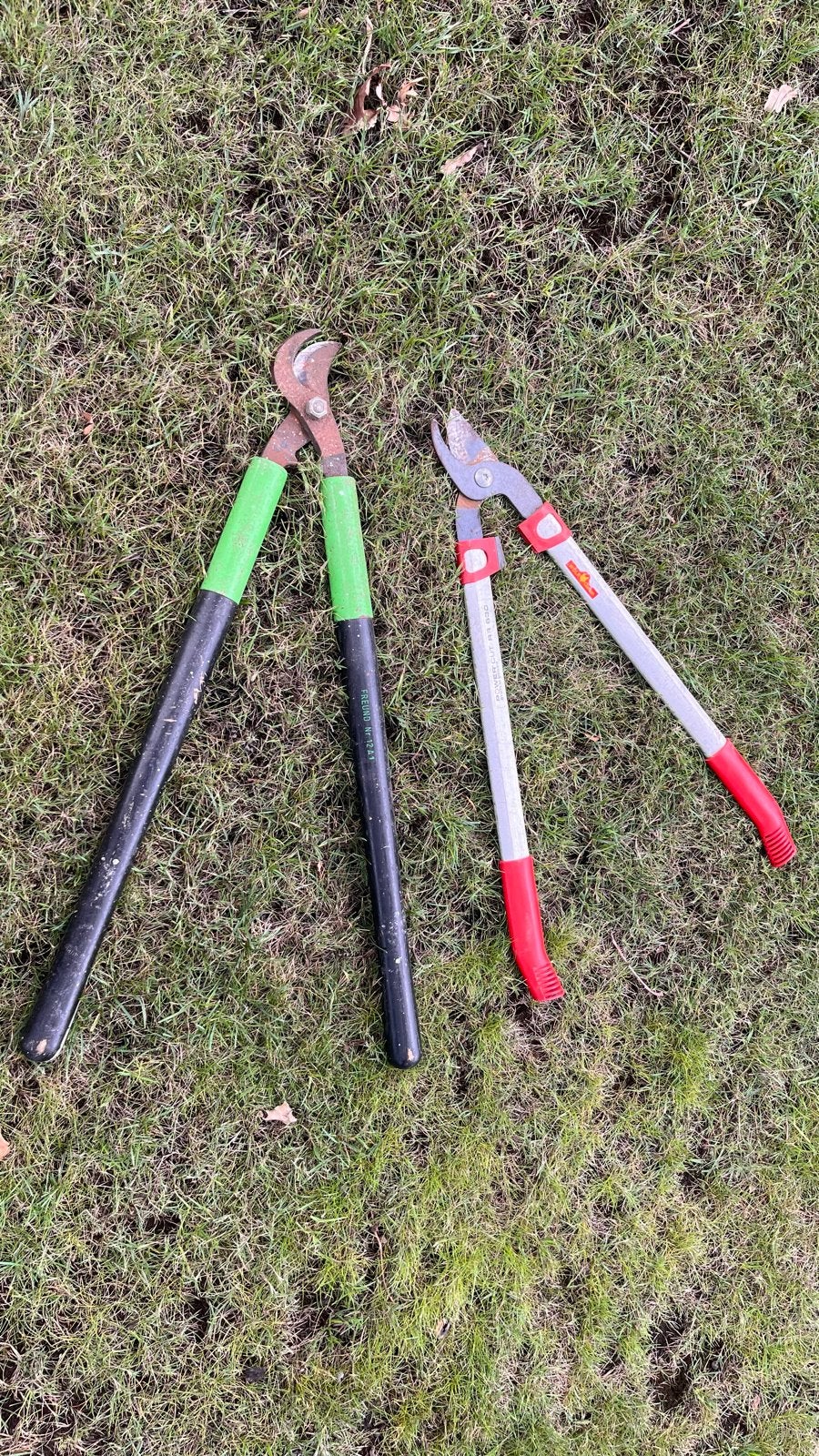 Takkenscharen set: Wolf-Garten Power Cut RR 630 & Freund, Ophalen, Gebruikt, 30 t/m 39 mm