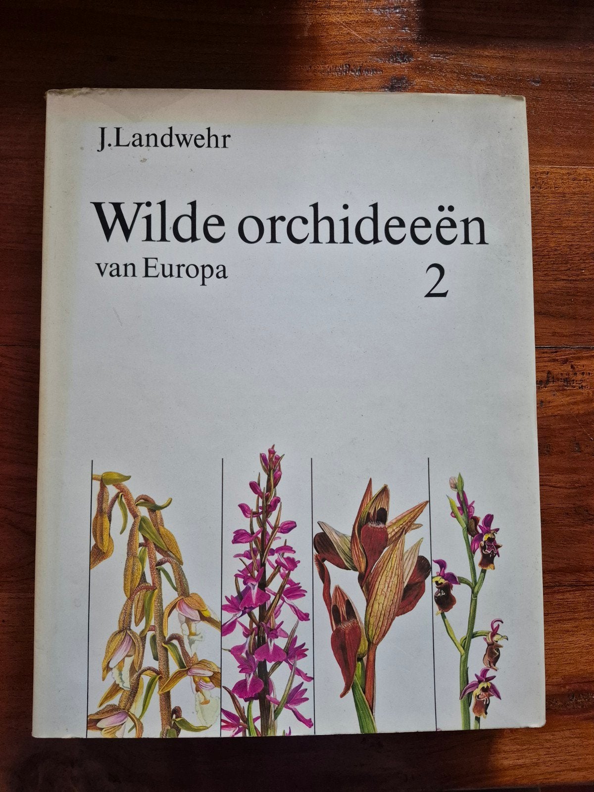 Wilde orchideeën van Europa 2 - J. Landwehr, Boeken, Verzenden, Gelezen, Bloemen, Planten en Bomen, J. Landwehr