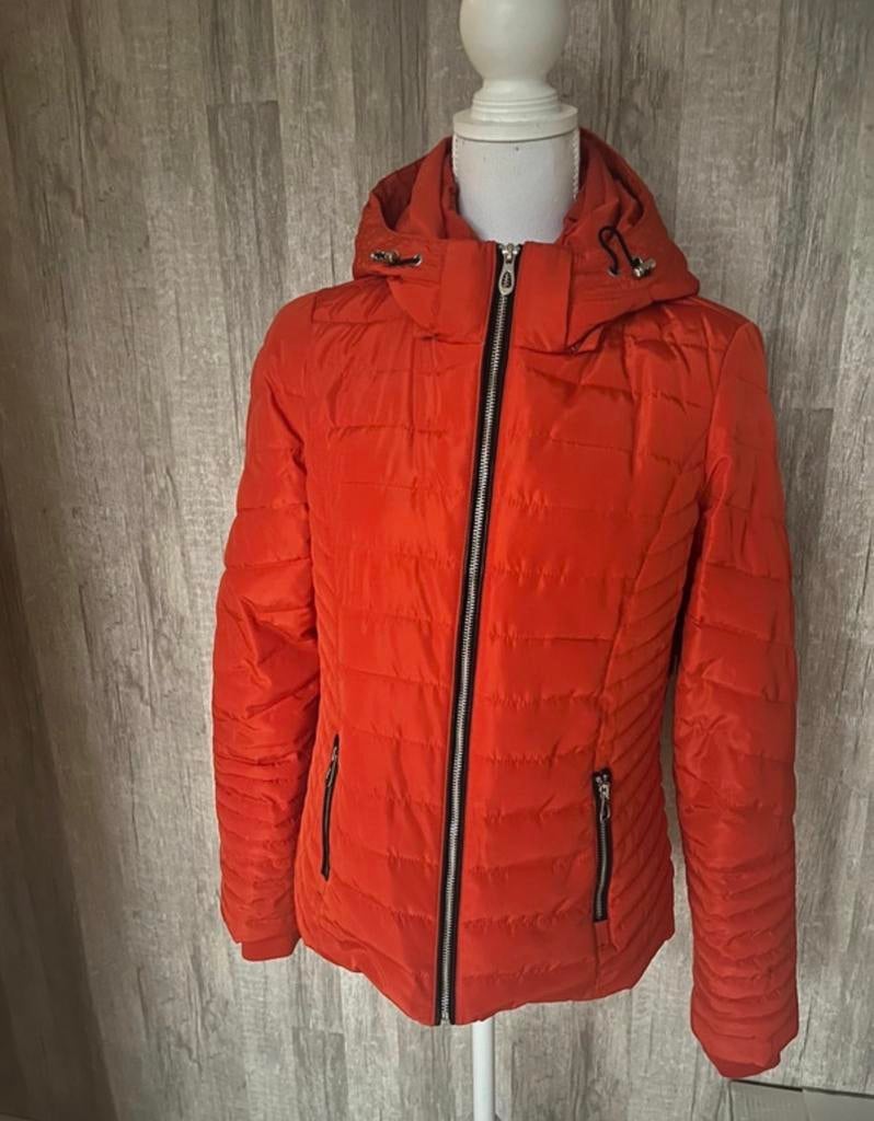 Leuke oranje korte jas Claudia Strater 36, Kleding | Dames, Jassen | Winter, Ophalen of Verzenden, Gedragen, Maat 36 (S), Oranje