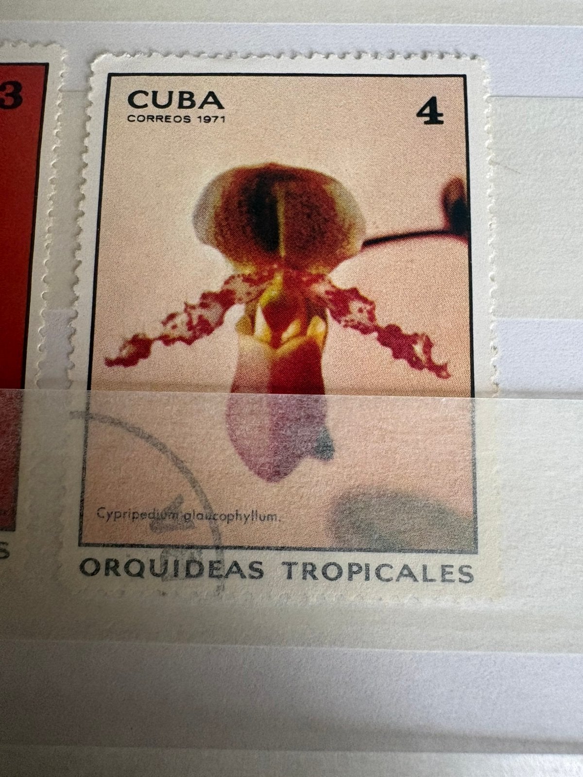 Cuba postzegel 1971 - Tropische Orchidee (Cypripedium), Ophalen of Verzenden, Gestempeld, Dier of Natuur
