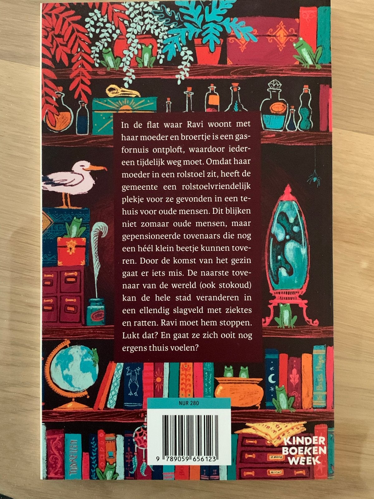 Ravi en de laatste magie - Sanne Rooseboom (Zo goed als nieu, Boeken, Ophalen of Verzenden, Zo goed als nieuw, Fictie