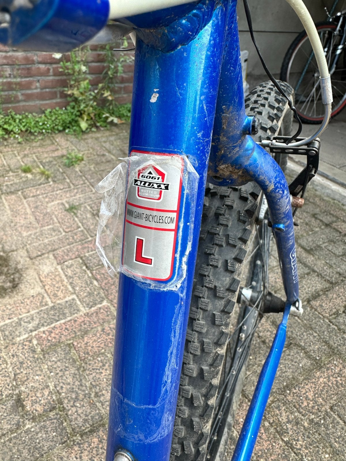 Giant Terrago Mountainbike - Maat L, Ophalen, Gebruikt, 57 cm of meer, Hardtail