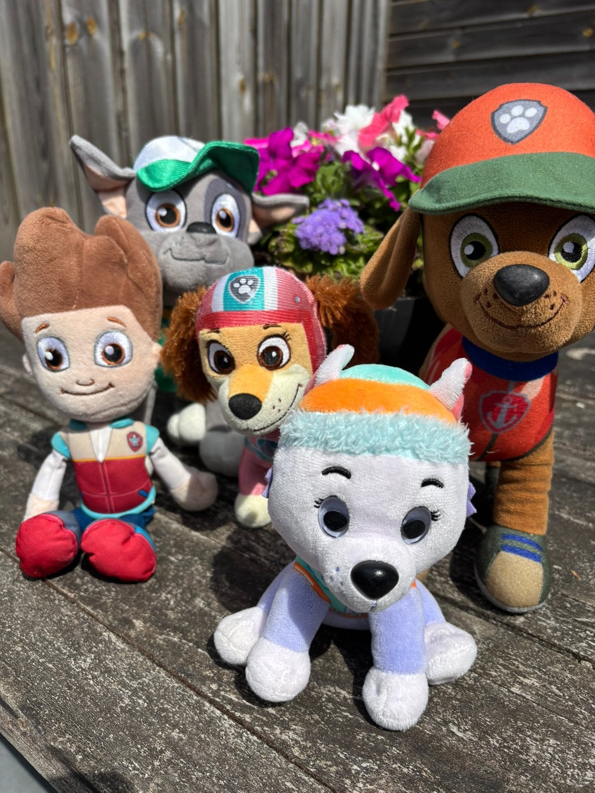 Paw Patrol set knuffels incl Raider, Verzenden