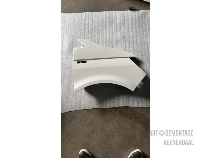 Scherm rechts-voor van een Volkswagen Transporter (LB9A), -, Volkswagen, -, Nieuw