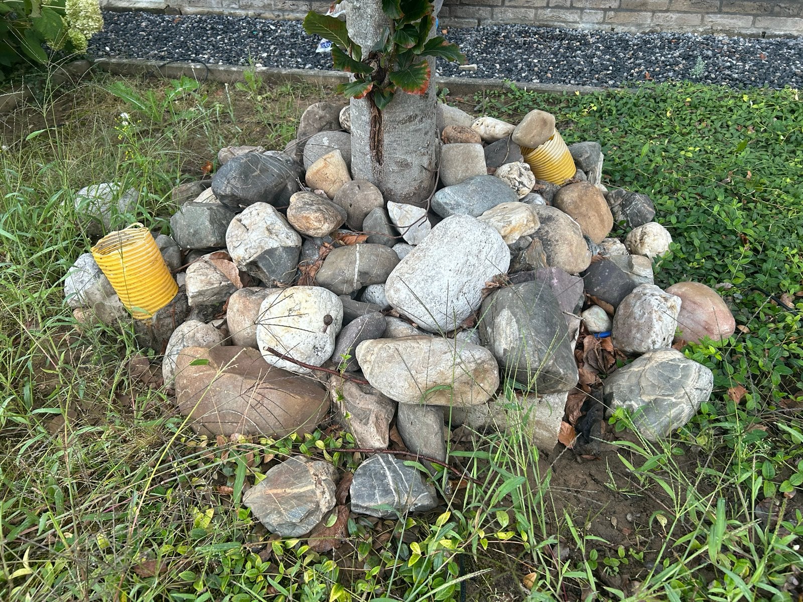 Gratis maaskeien, Tuin en Terras, Ophalen, Gebruikt, Multi, Kei