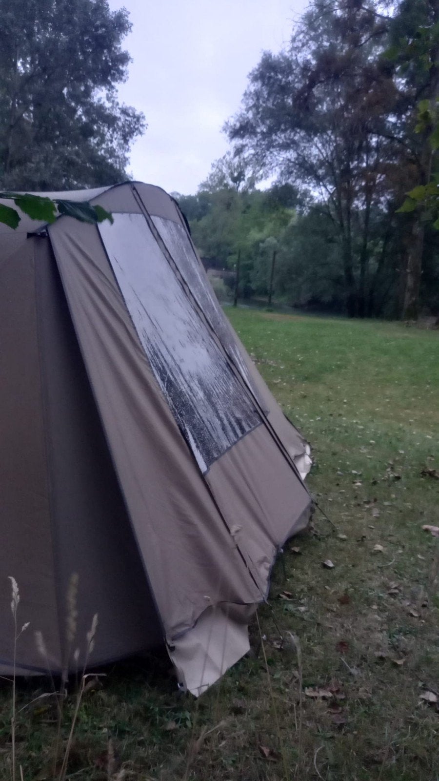 Falco Steenarend tent - Ruime en stevige familietent, Caravans en Kamperen, Ophalen of Verzenden