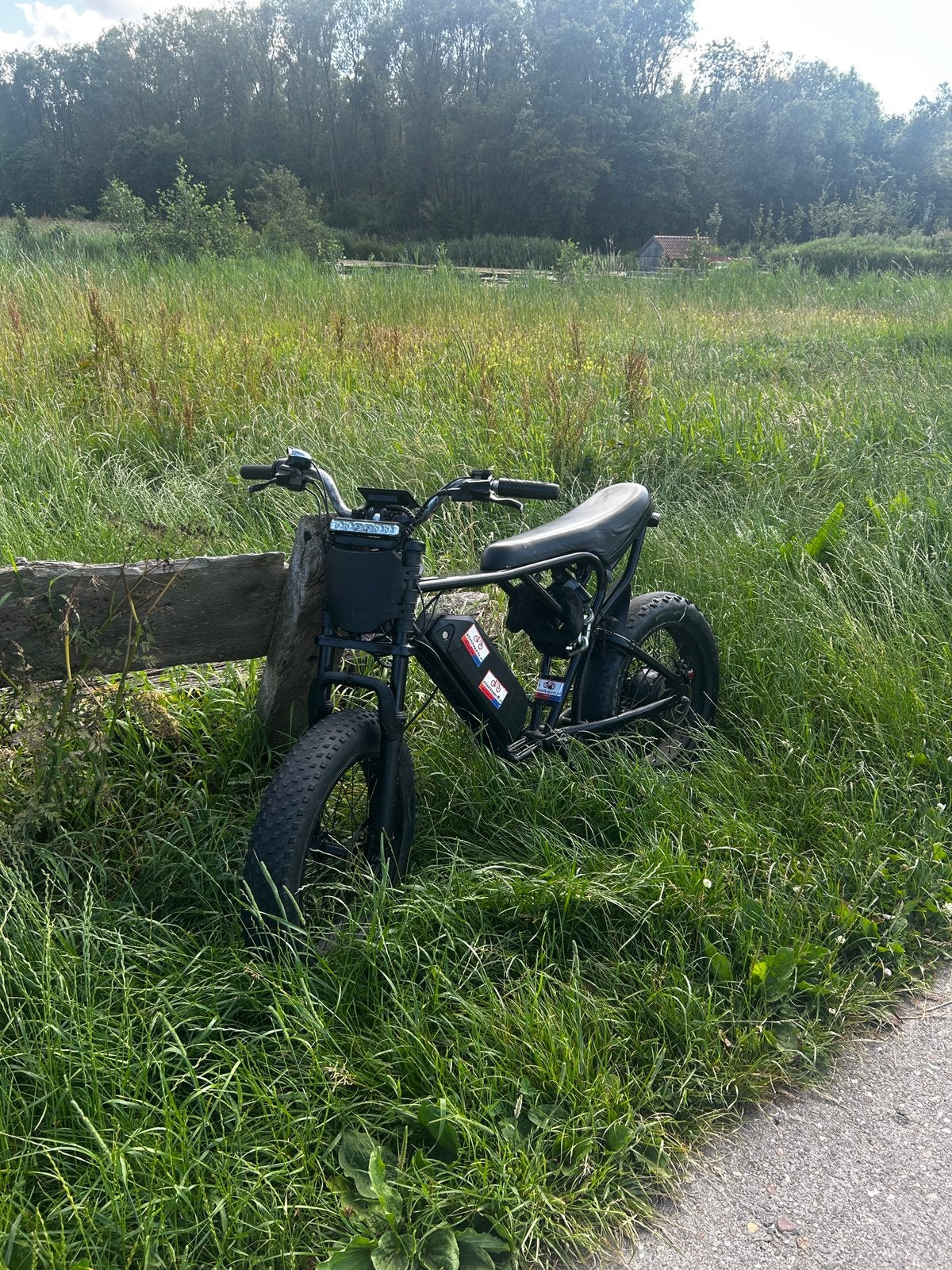 Ridstar Q20 Fatbike, Ophalen, Gebruikt, Overige merken