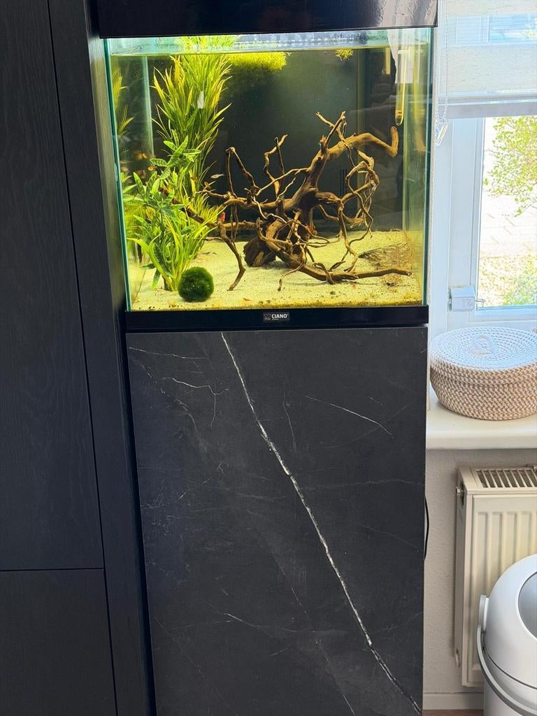 Aquarium met kast, Ophalen, Gevuld zoetwateraquarium