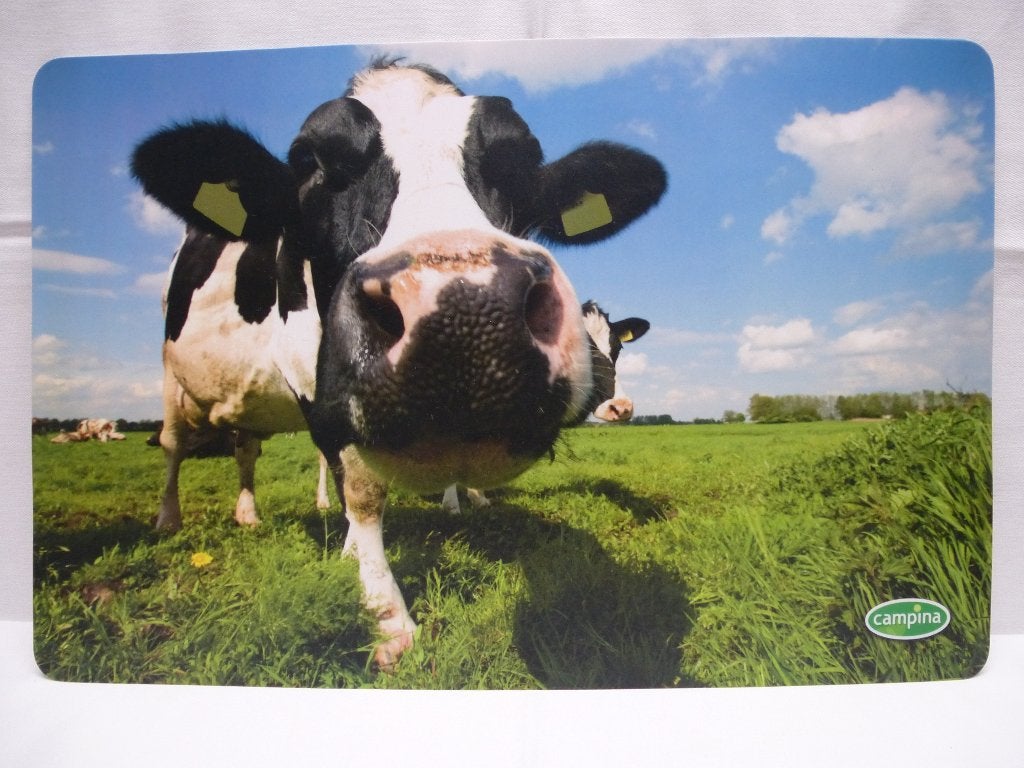 Set van 6 kunststof/vinyl placemats met een Campina-koe, Ophalen of Verzenden, Nieuw