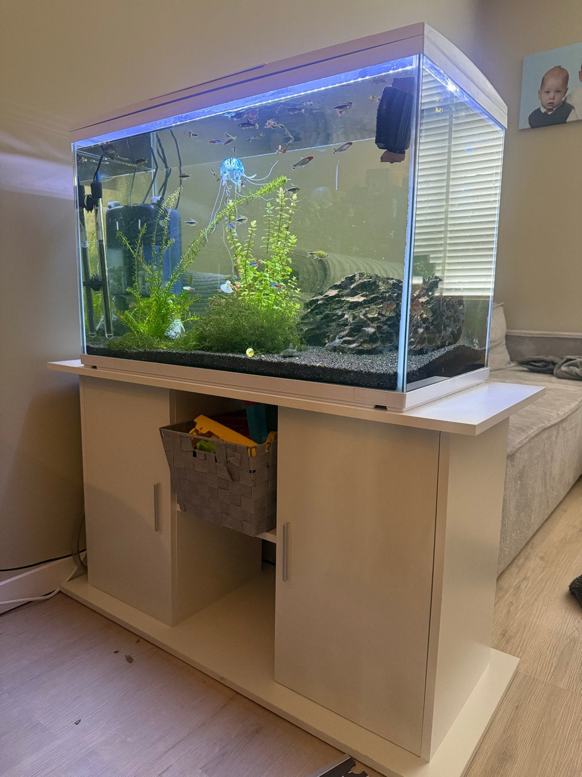 Aquarium te koop, Gebruikt, Ophalen of Verzenden, Gevuld zoetwateraquarium, Superfish