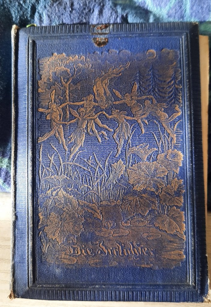 Die Irrlichter - Marie Petersen - 1875, Ophalen of Verzenden, Marie Petersen