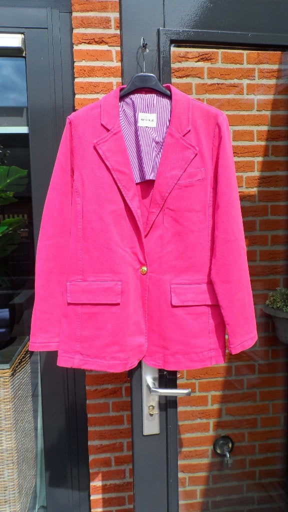 Blazer maat 40, Kleding | Dames, Maat 38/40 (M), Ophalen of Verzenden, Zo goed als nieuw, Jasje