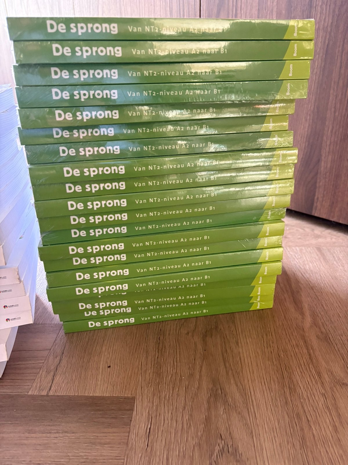 Wim Tersteeg - De sprong, Ophalen of Verzenden, Zo goed als nieuw, Wim Tersteeg; Maud Beersmans, Nederlands