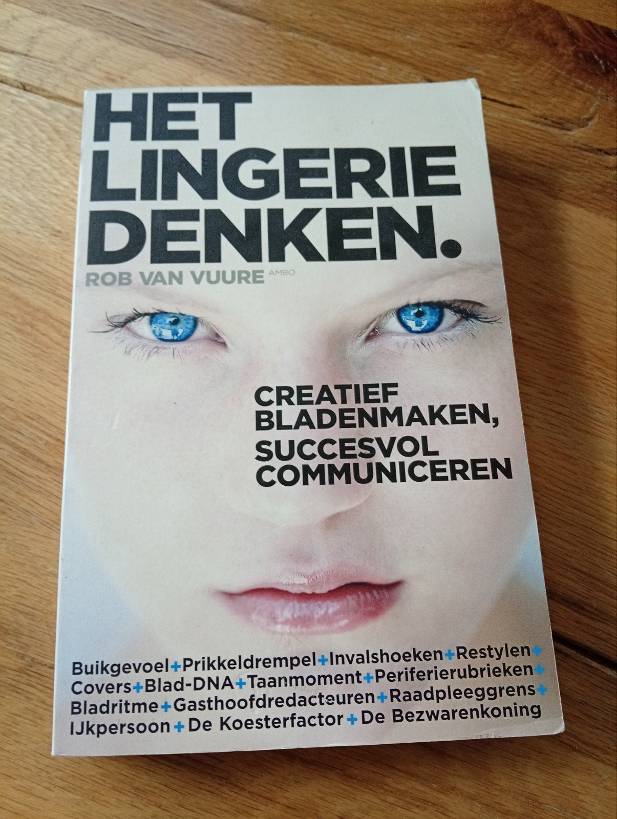 Het Lingerie Denken - Rob van Vuure (Boek), Ophalen of Verzenden, Zo goed als nieuw, Rob van Vuure, Nederland