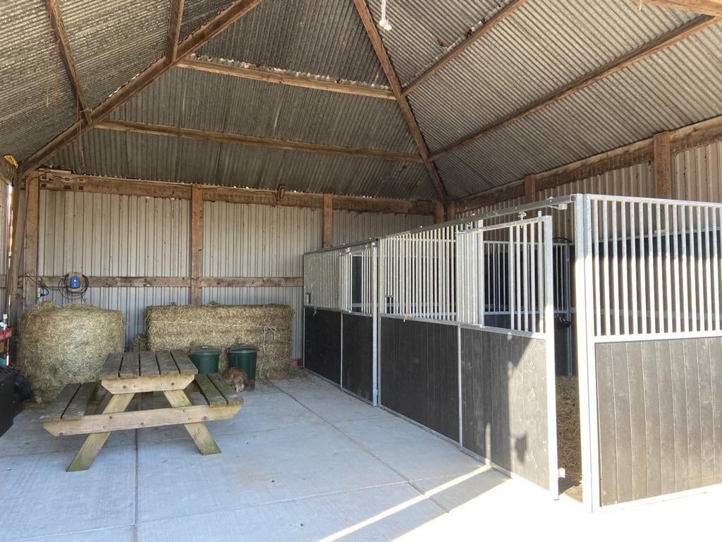 Paardenboxen Actieset | 2 Complete Boxen | Nieuw | Heass, Weidegang, 2 of 3 paarden of pony's