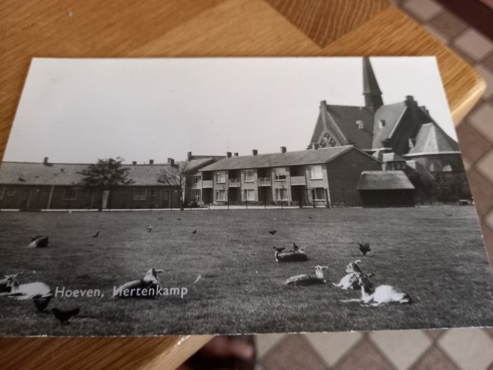 Hoeven, Ophalen of Verzenden, Zuid-Holland