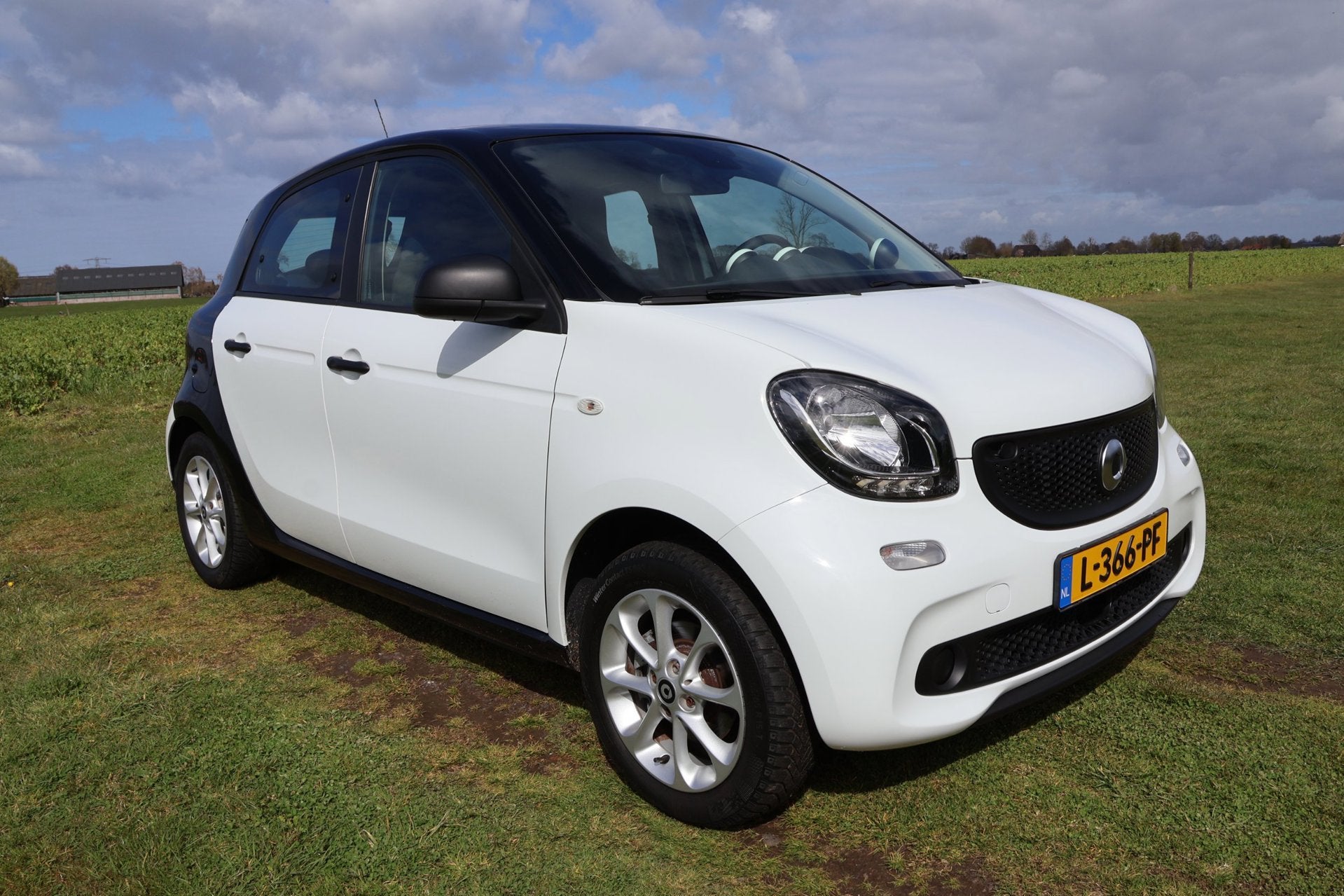 Smart Forfour Electric drive 18 kWh|Nieuwe ACCU!|Carplay|Par, Automaat, Gebruikt, 43 €/maand, Zwart