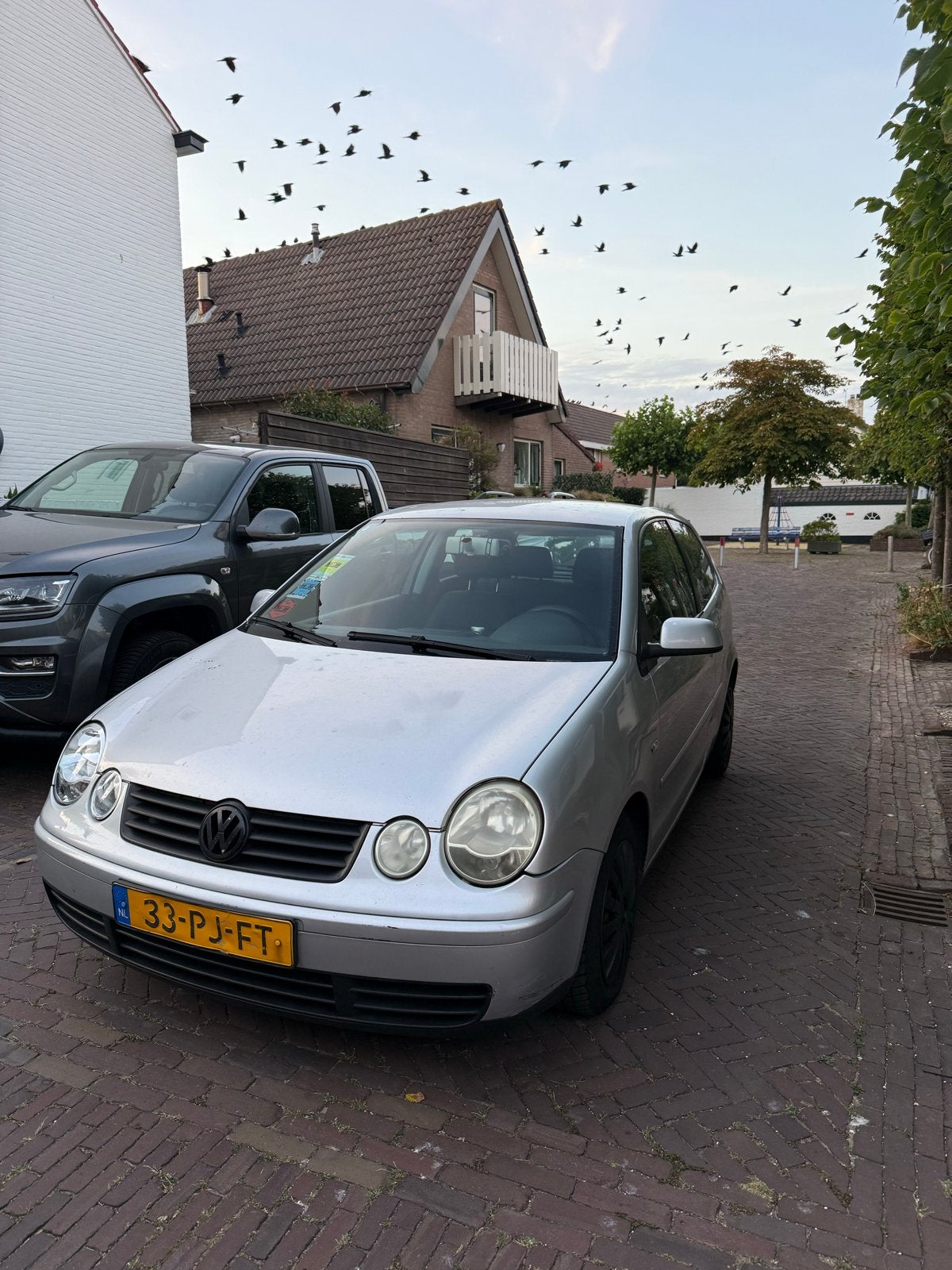 Volkswagen Polo Athene 1.4 55KW 2004 Grijs, Voorwielaandrijving, 4 cilinders, Origineel Nederlands, Handgeschakeld