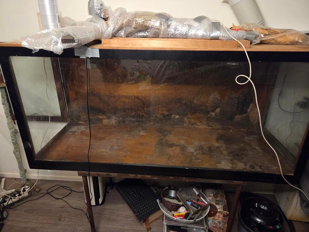 Groot terrarium 2meter lang bij 60 hoog bij 50 breed, Dieren en Toebehoren, 0 tot 2 jaar