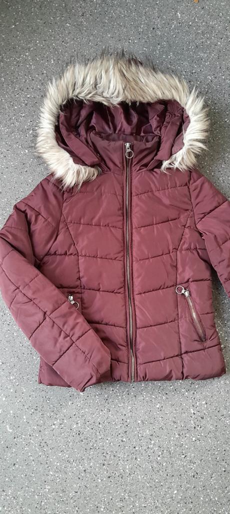 Winterjas ~ maat XS ~ puber, kind of dames, Dust, Ophalen of Verzenden, Zo goed als nieuw, Maat 34 (XS) of kleiner