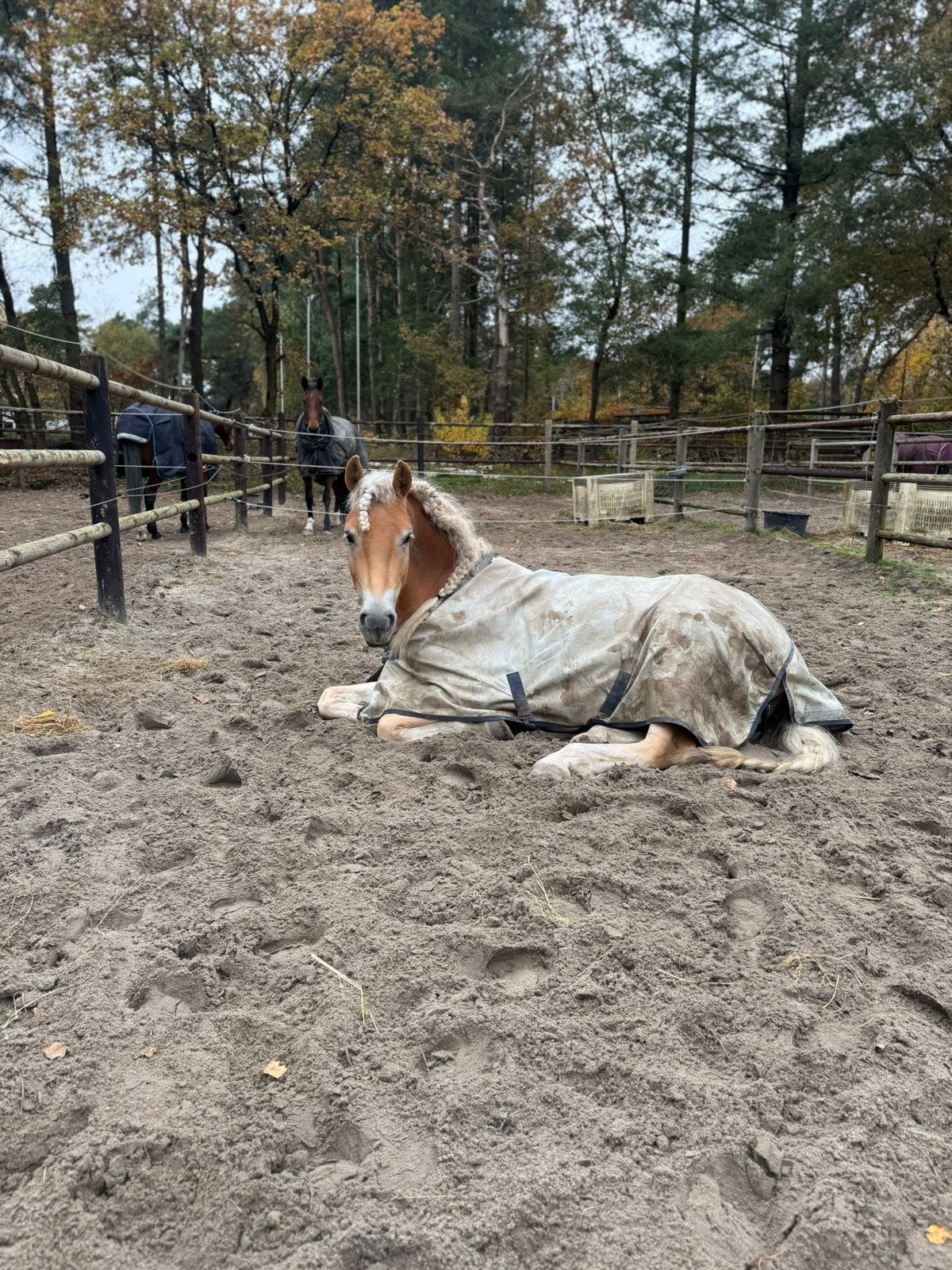 Bucas power turnout light met hals en 150 gram liner, Bucas, Afneembare hals, Ophalen of Verzenden, Zo goed als nieuw