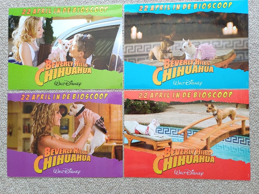 BEVERLY   HILLS   CHIHUAHUA   NED.      lobbycard set., Verzenden, Nieuw, A1 t/m A3, Film en Tv