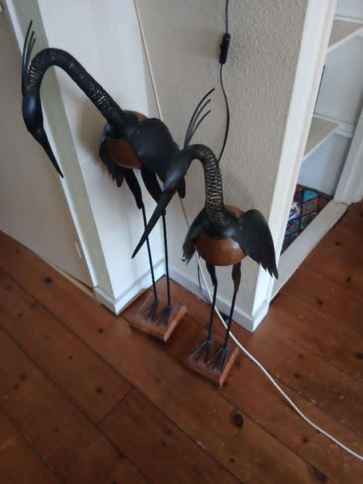 Decoratieve kraanvogels., Ophalen