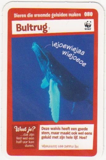 Super dieren no.80 Bultrug [2715]  [VeOvSu], Albert Heijn, Ophalen of Verzenden