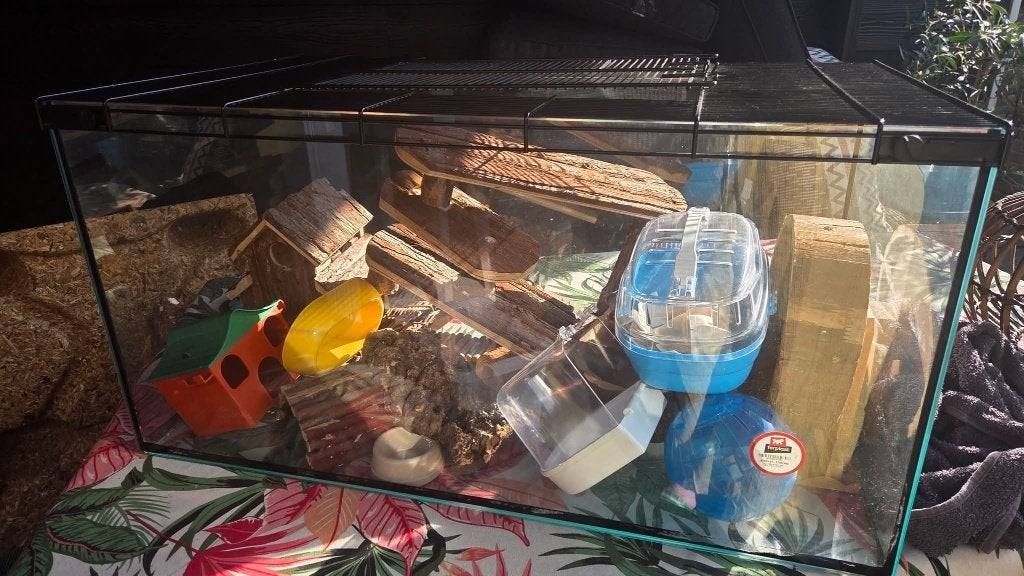 Hamster terrarium, Dieren en Toebehoren, Kooi, Gebruikt, Muis, 75 tot 110 cm