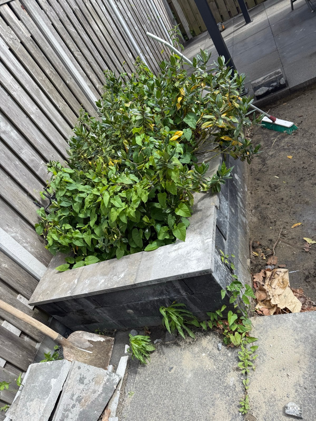 Gratis plantenbak tegels, zelf afhalen, Tuin en Terras, Ophalen, Gebruikt, 100 cm of meer, Beton