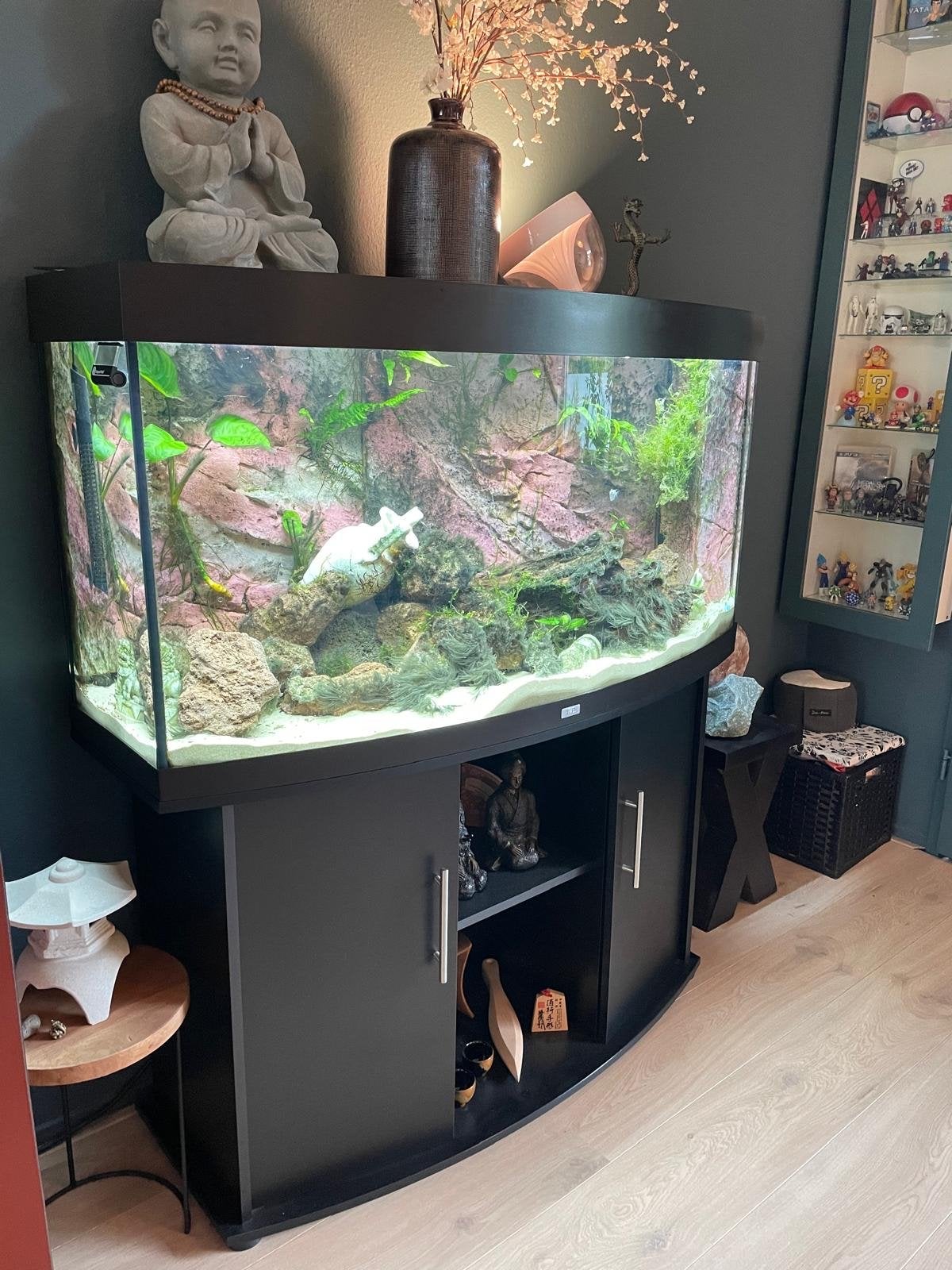 Aquarium Juwel SB vision 260, Dieren en Toebehoren, Ophalen, Gebruikt, Juwel, Inclusief toebehoren